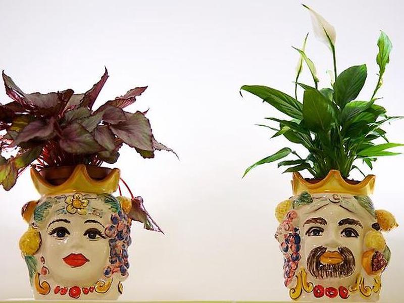 4385105C82607A57FDA96FC1AC2FFCCC