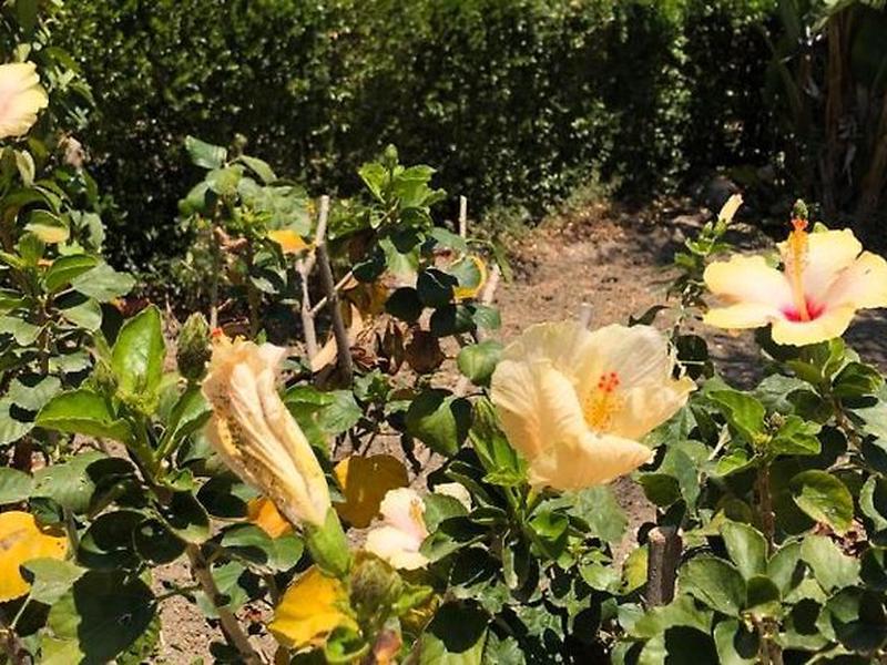 0ADFF673EE46C60BE210B11D443281B8