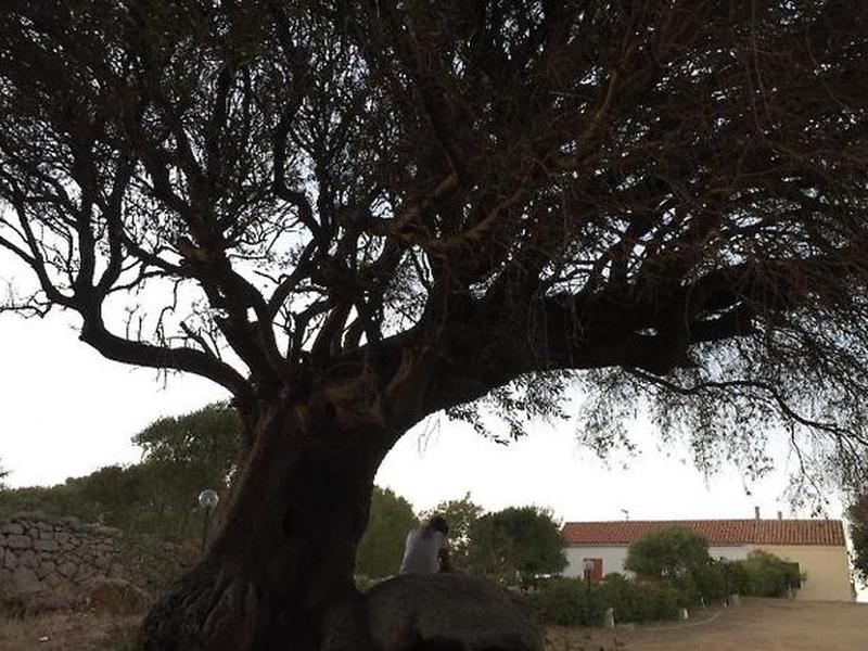 39C2FAF4319A985EAF93545E304D8631