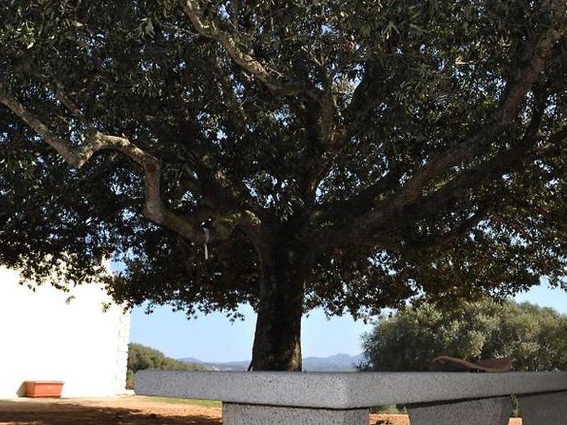 45B6647D37BB30EE3506903BF3C4DC36