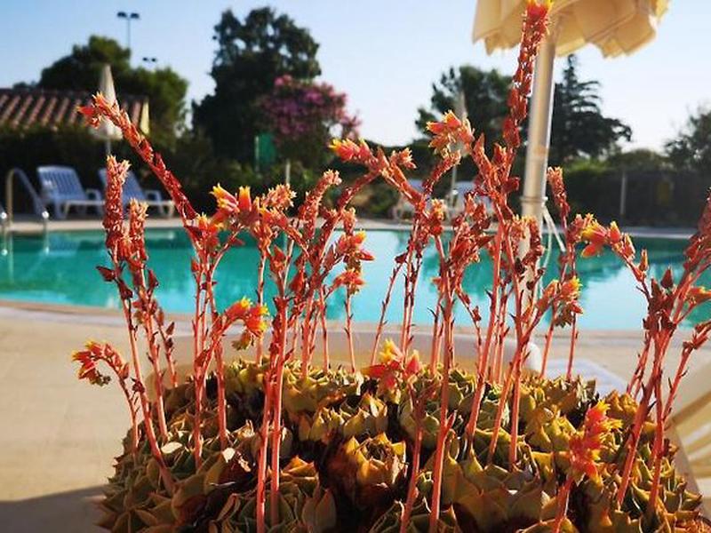 3C4832FE4589DF2796734E7C7E92E5C1