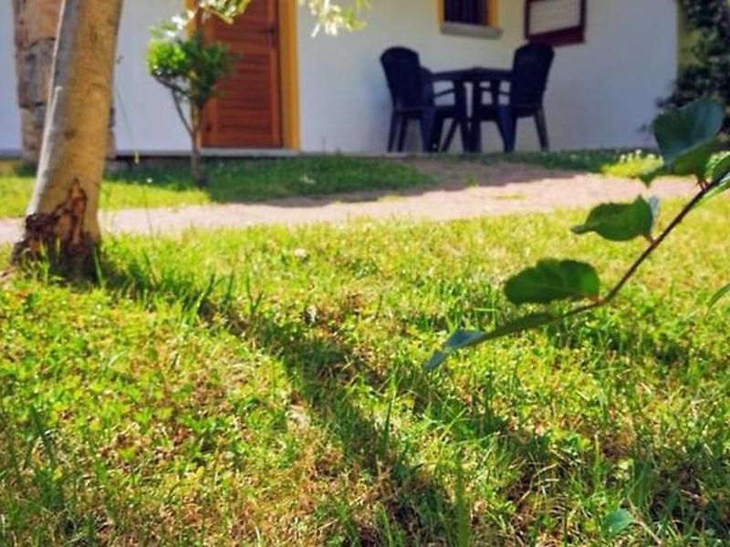 C6F4F7F2C21B2D0BAEA4621863E124B7