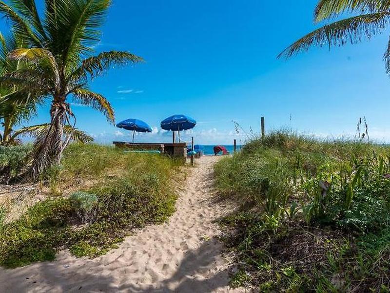 556965FDE8935CAD23D508BF45FD8801