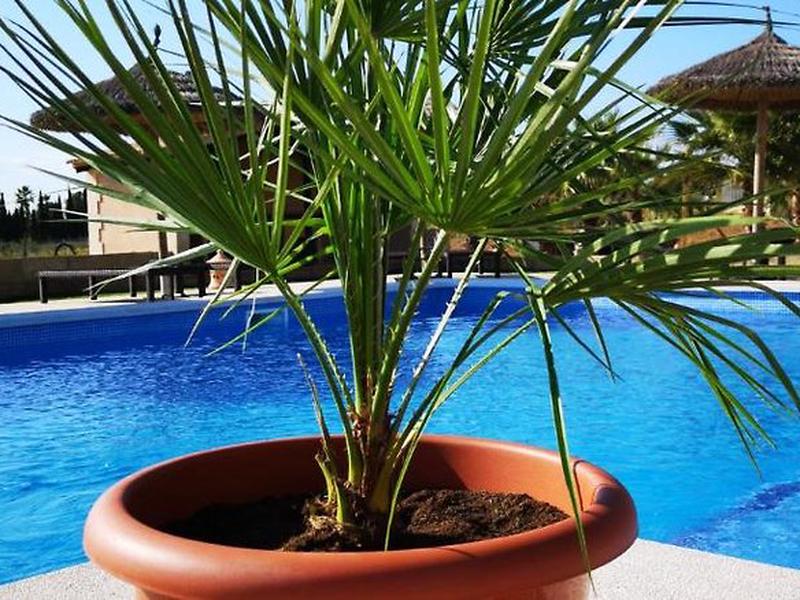 0B78EBDB6A4A9FBB9FACE3B1EA30CBC4