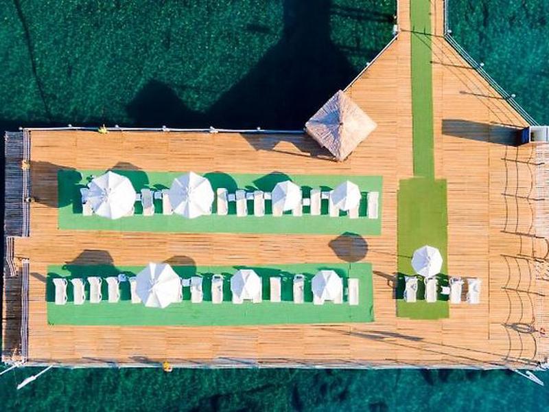 94A09E8AB7AE554557BAB1F026DD113D