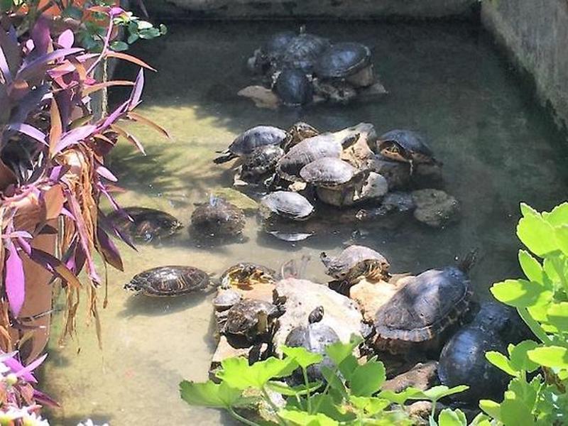 D990D9176EE8772E84202093977433F6