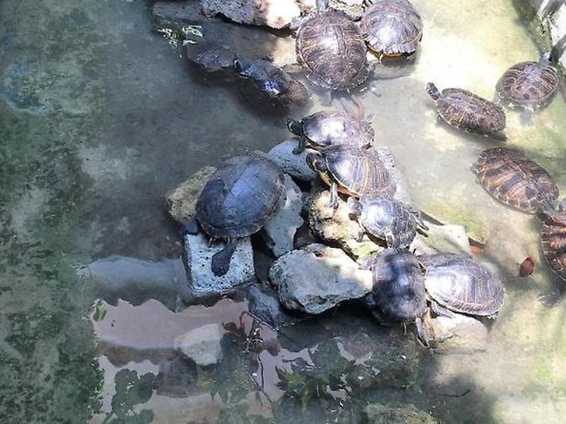 BA0F3080837FF67668CCFA5403B7E8CB