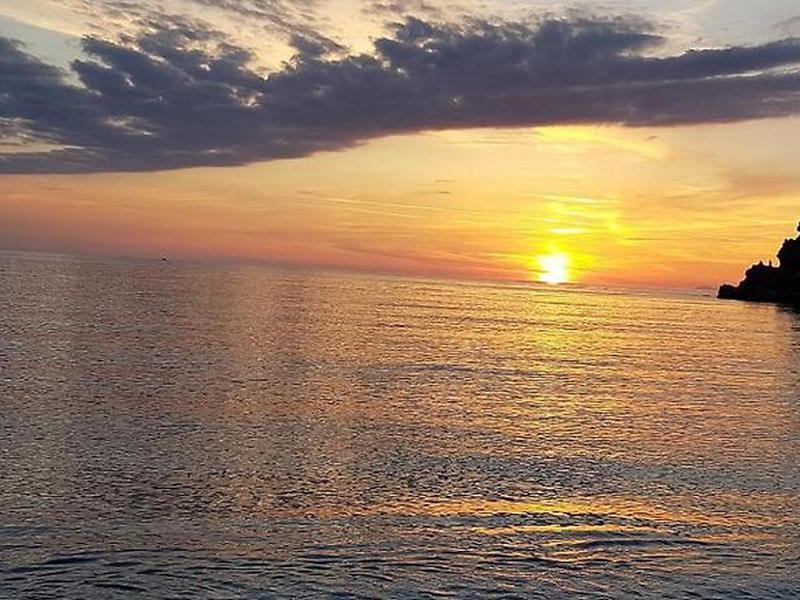 908B04F2F3F77DE3C36E6C228A508631