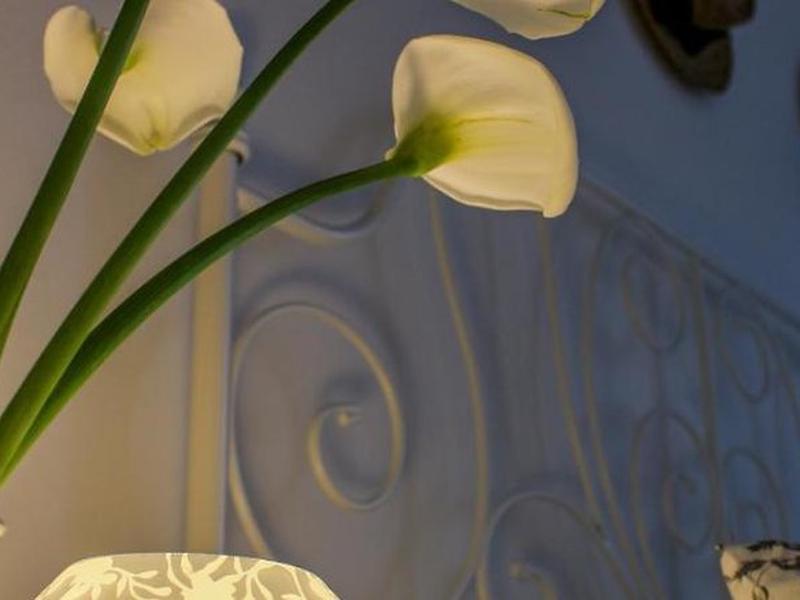 6D57B0CAAFC31EAC9BD18B0C2C845CA0