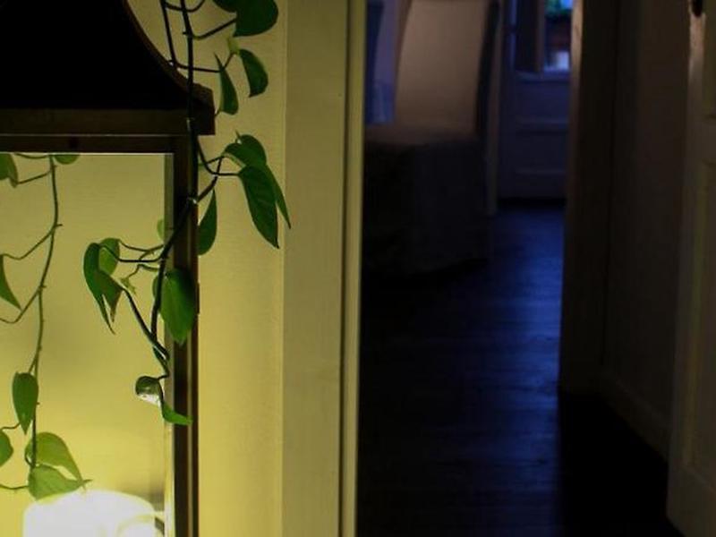 84EB731109D13BD22B5F01F3C19C4C4A