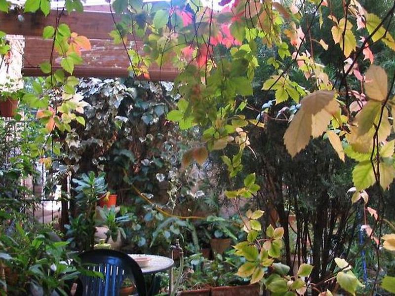 05E8A968C1464EEC6FB62A2FCCE6D119