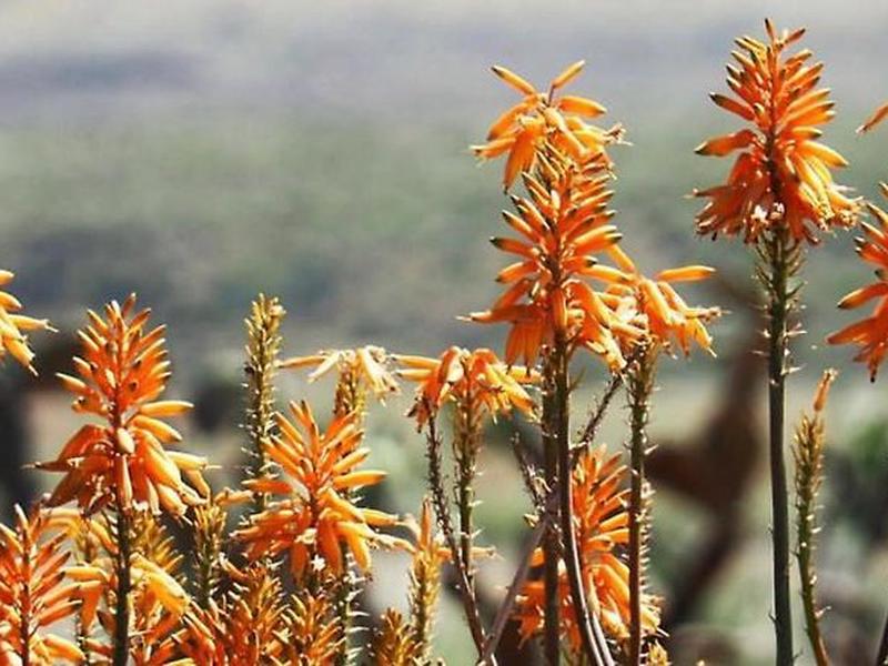 12826C3EF49BE1ED30B96DA294AF848A