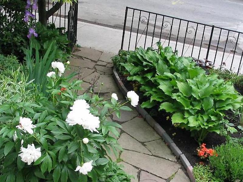 D1863B880C5D713388FF58F459C15D71