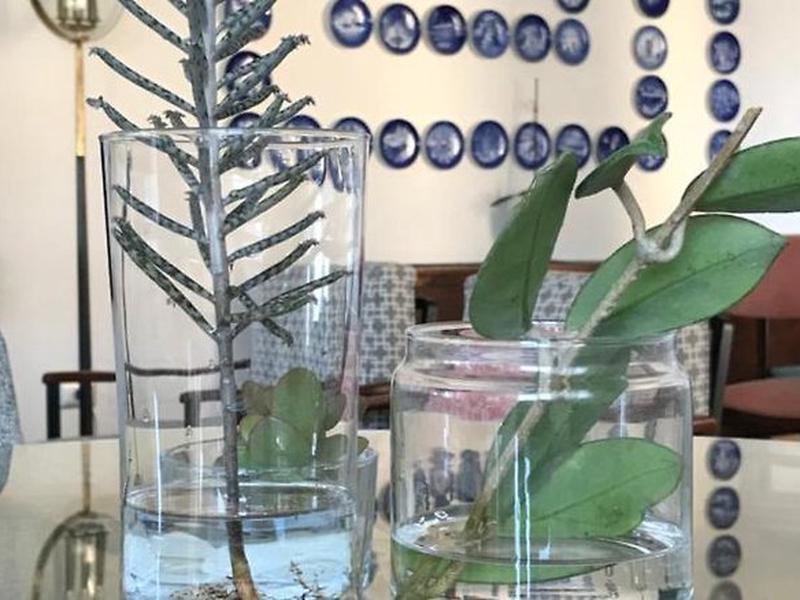 D781E9C66846A699B64273F3D7D05B8F