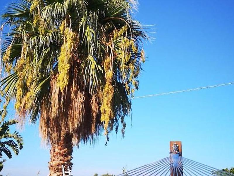 01BC98653381A9E49E1EEF3755B3C279