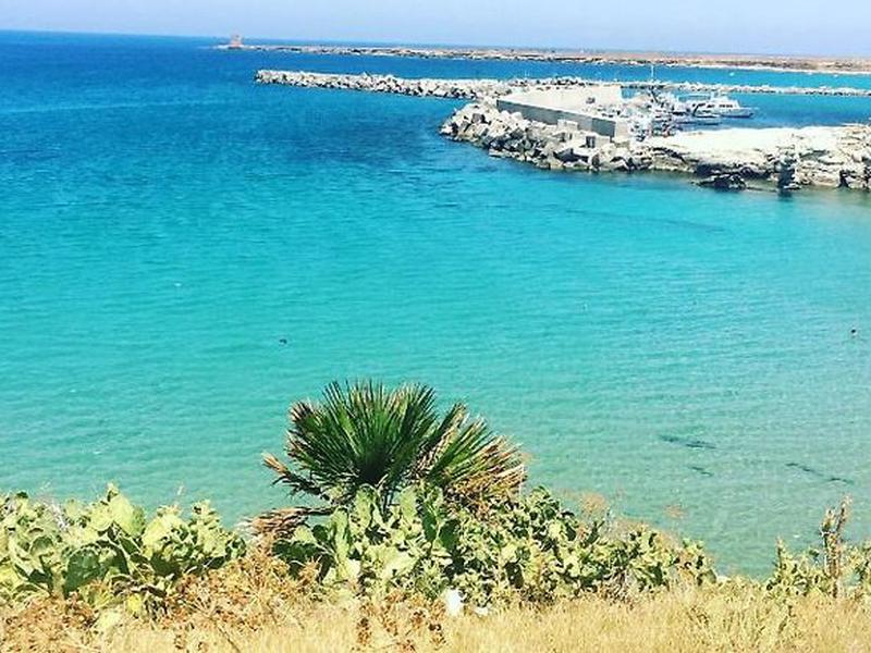 333D0F362BB97A743DE047FED1457CF6