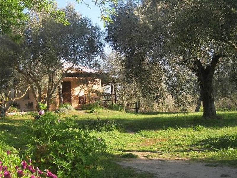 47DB734C8C71B07D1F366B34B8B20A04