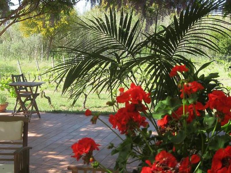 58BA9AB9579DC89886BE282C14A001FA