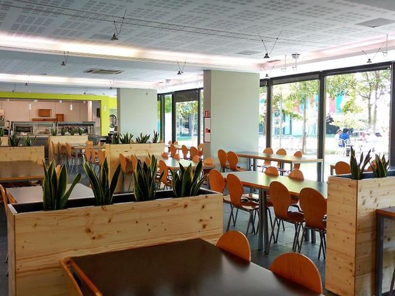 8FF34CA860ED8898737CDD409CDDF55D