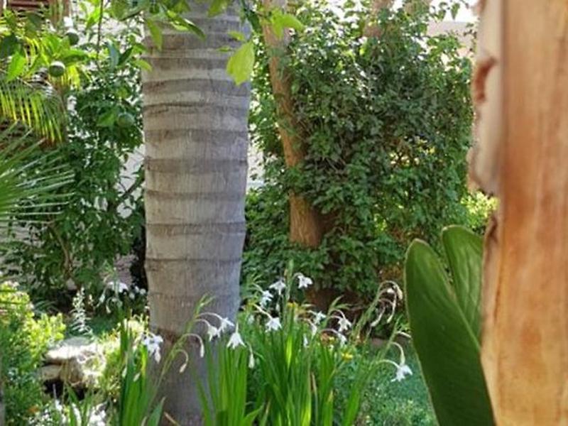 9509E0392FB11867A5DC3286B447D99D