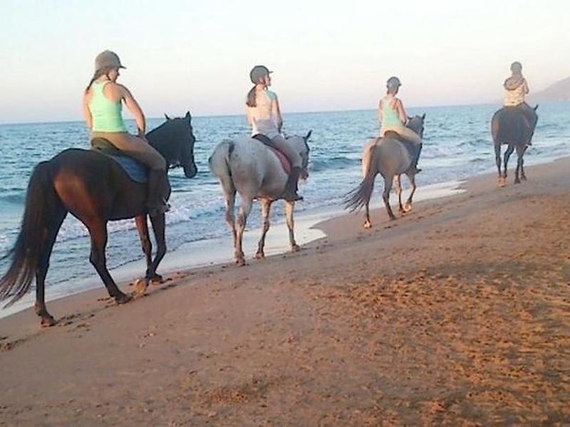 9E5E111C11D32CEEBFFCE8FAD3D8CADF