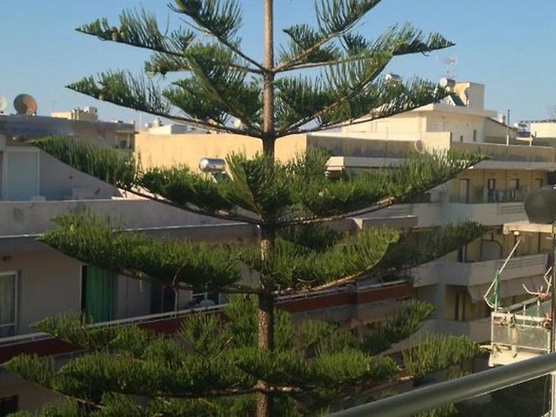 6C2BFF80ABBBD726A7908768F82DCD3A