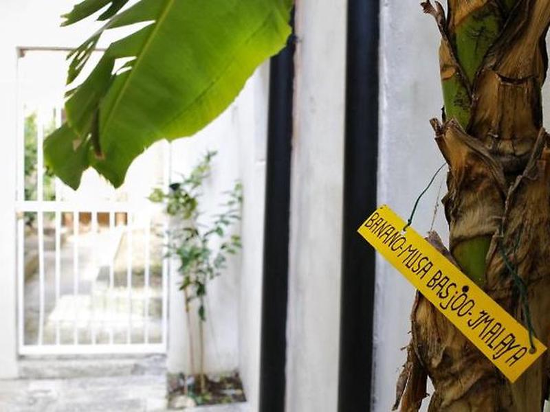 959A17E60366E489F7AB6CE2403B1511