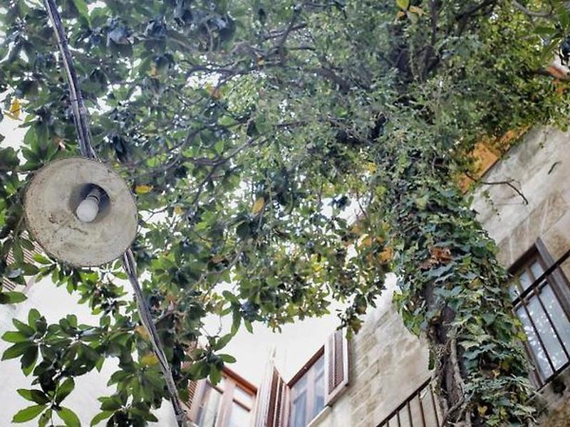 DA3C66A99D5ECEF9DF9A7A90C5142B74