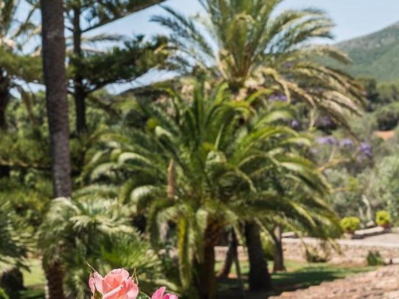 367F9BBD6A95A467E6865D6B55E6D9C6