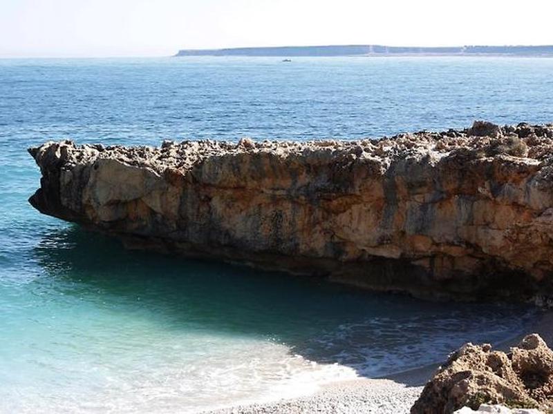 8C698EC9A15D6AA8237C8DCD2FB558D4