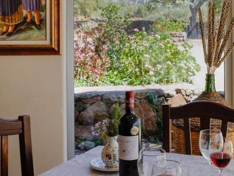 F252EC70ED1999BB96A4813D9E868372