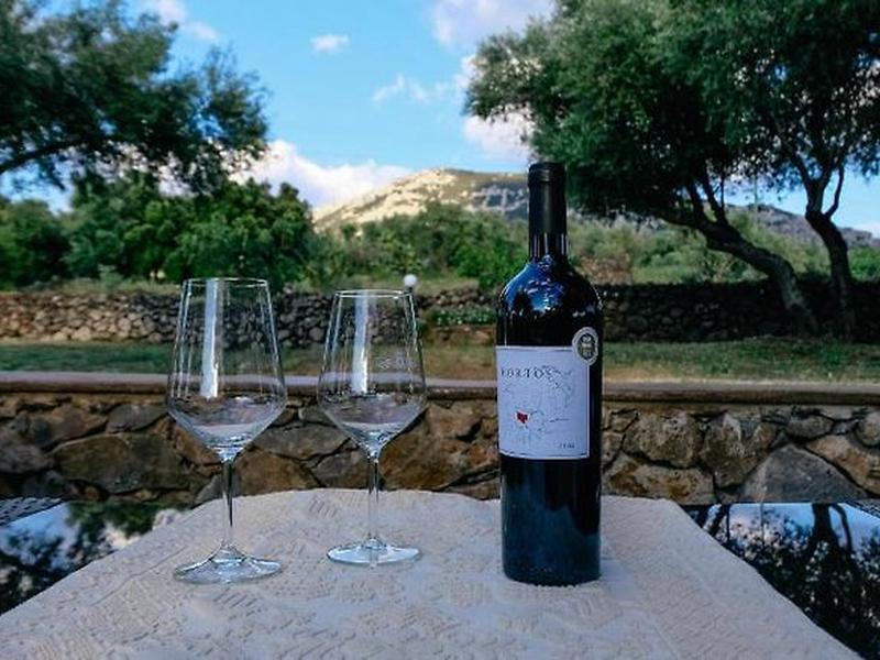 155F6F8D5681680E9E2734C2E73D4C9C