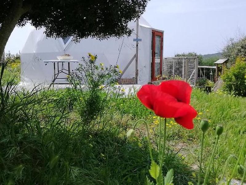 F6CE17B9FFF654B0614BA9AD8FB04D23