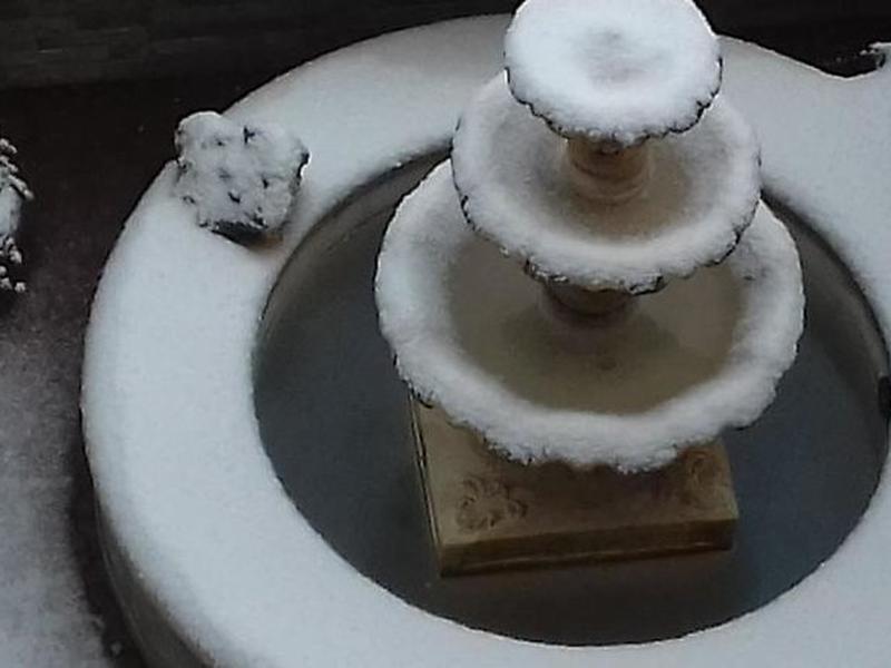 BF87707B97C97714986C1E6199998036