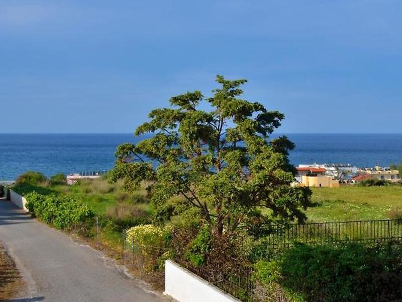 67A0E46739E1989F40C64F7D390B8145