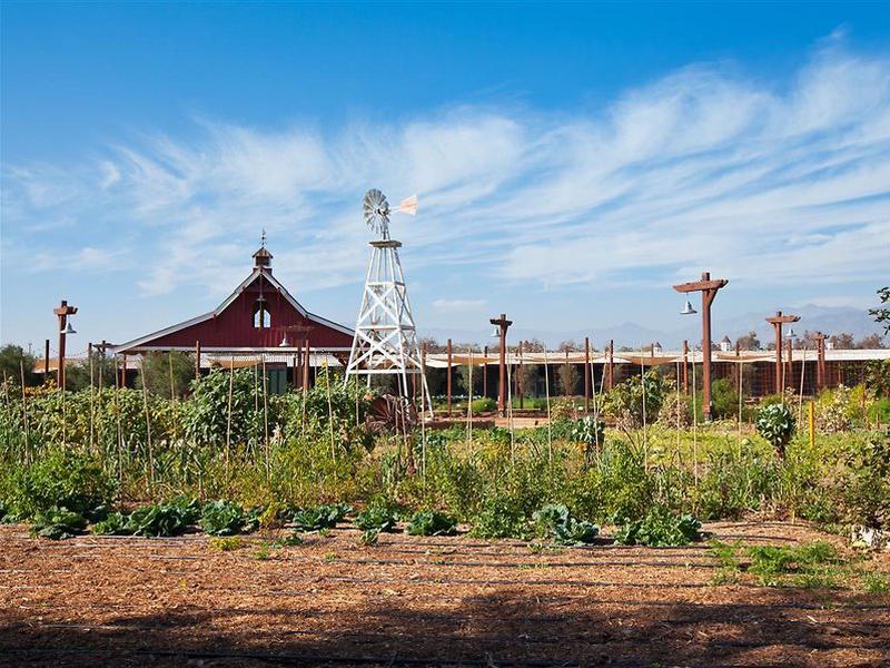 026EE408C028ABCCA91E5CC9181BA56A