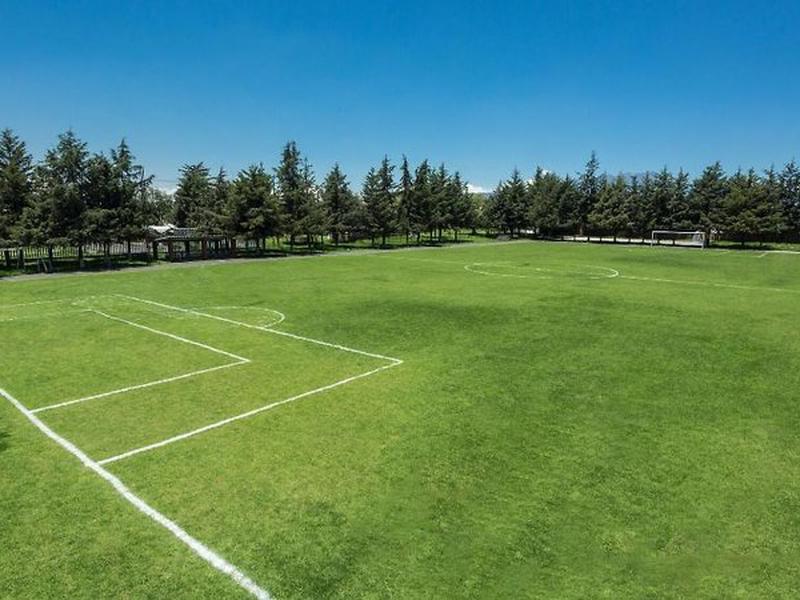 520DA44B573ED6206236D85A86D8BEFE