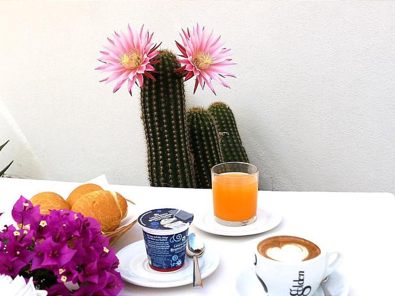 0C3A06FDABAD73CE586510747A325EA0