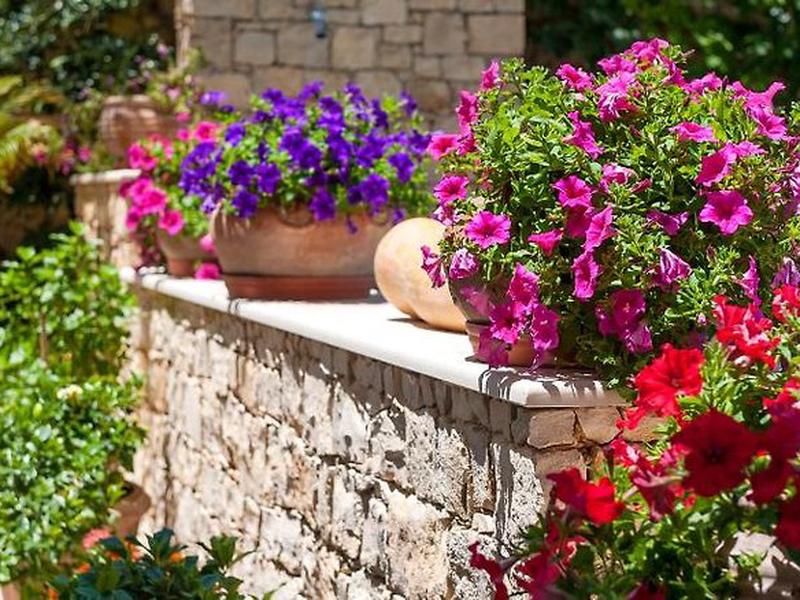 EF501B1D2C3CE5047DE3742311B13727