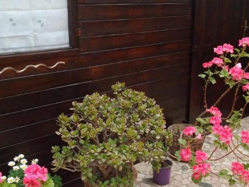 821DE152B074FEAEAD4A9A66386716FF