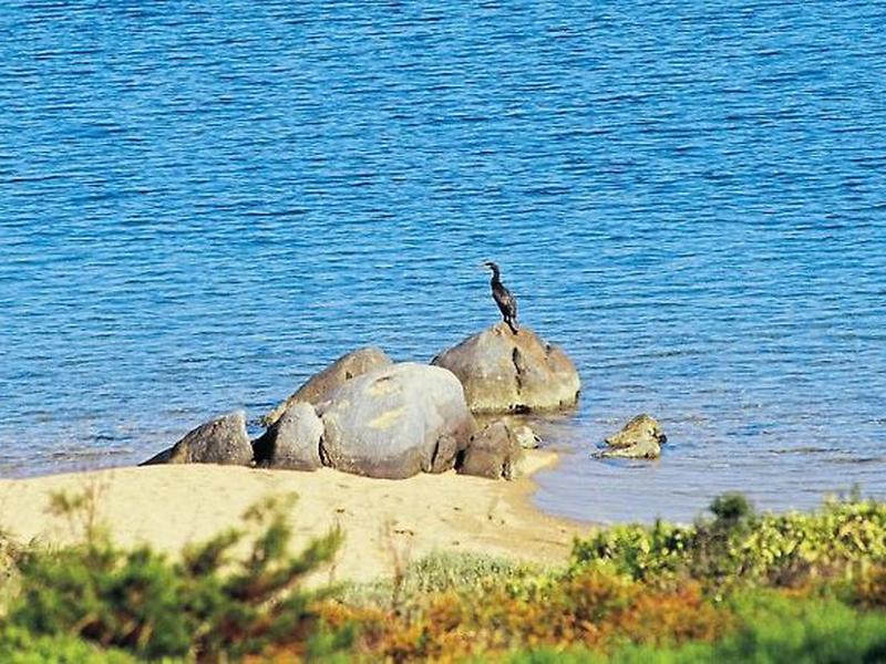 F4A5A84FD4B81AC4D86C3DEF3E789FB5