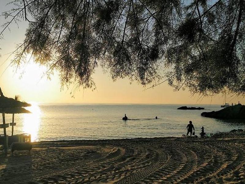 35AEF5E609FBB12F2C4516FF02477DBA