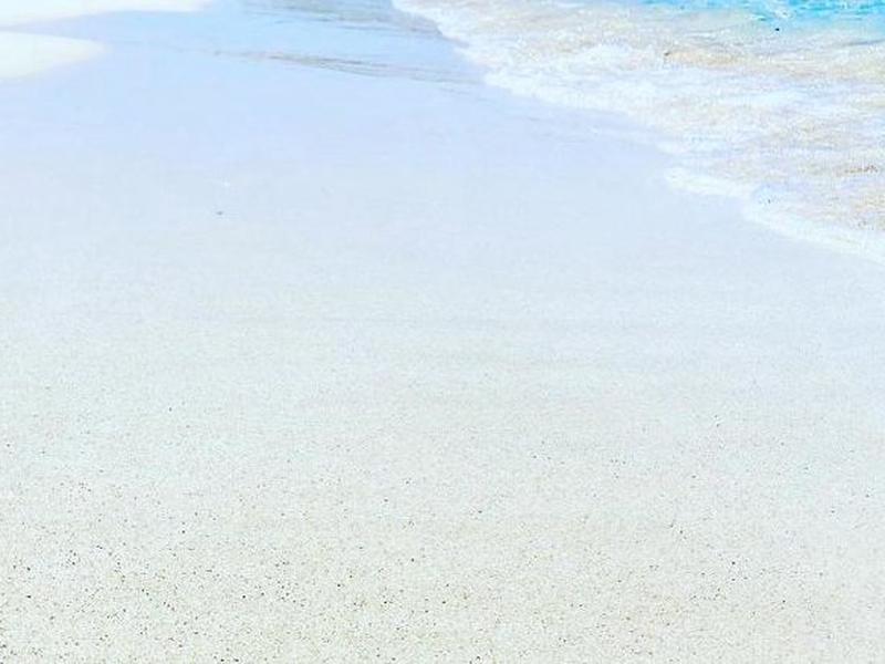 CD59997591D3B6E72C534967B18894F2