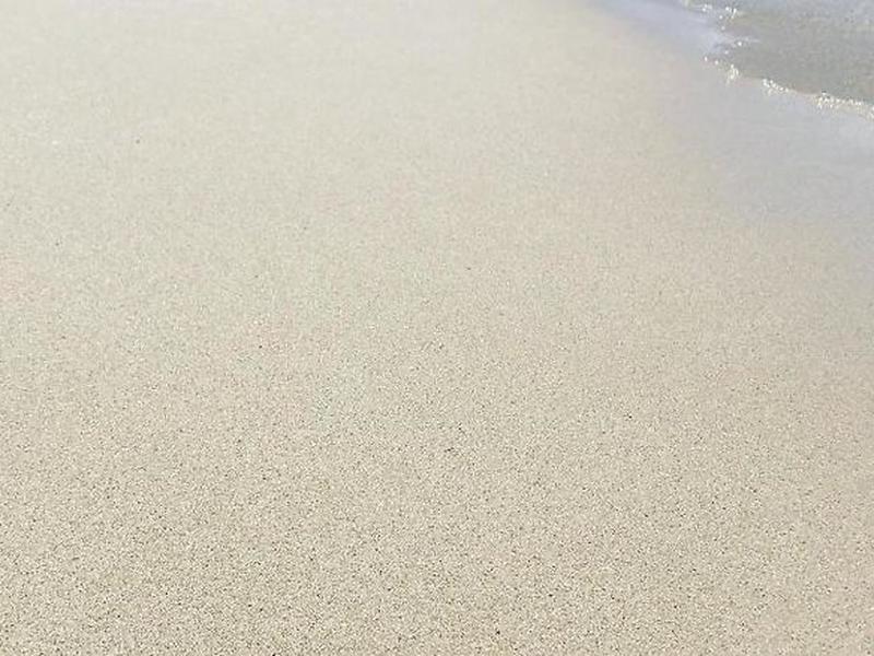 87BC9B19856F4A13BF92627A8E42B179