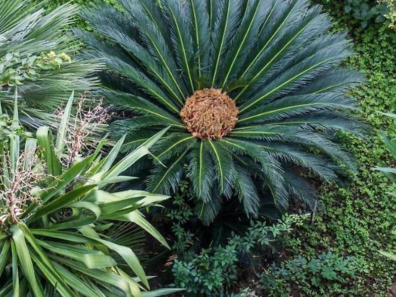 2613EE411E3E14D9F25066566EA7350B