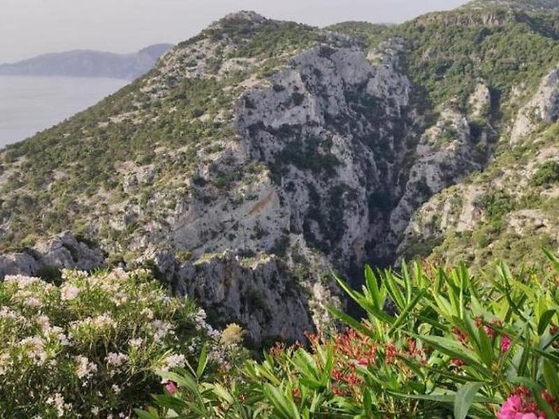 75A2C681A021513F3511297635A4D8A7