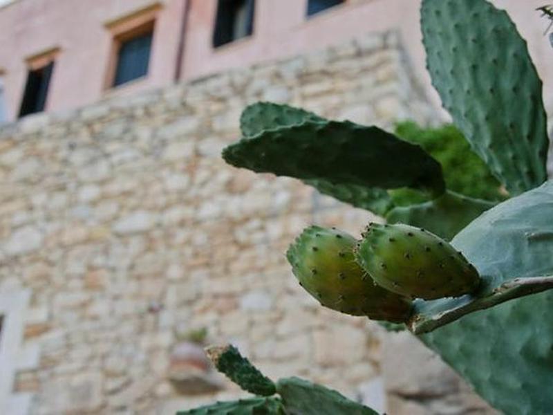 2C790637BCCCEDCE3EDEF30F700F8034