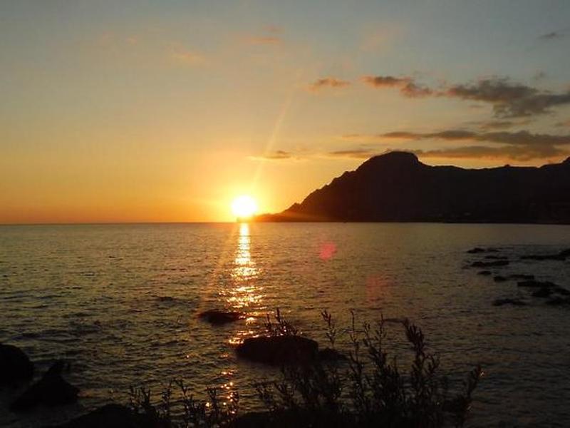 65BCFB46DB6C8EBA25B26018F124EE13