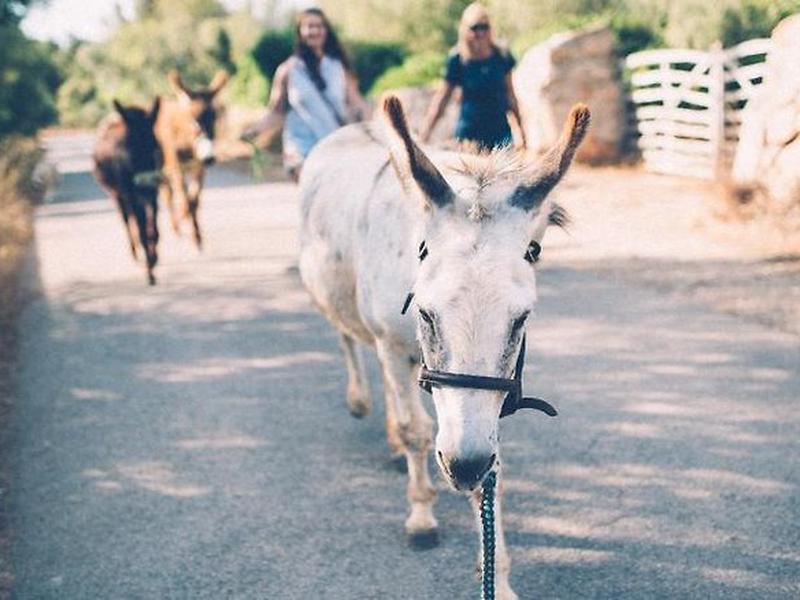 B527135915F0AAC55F745E1B0F76E7E4