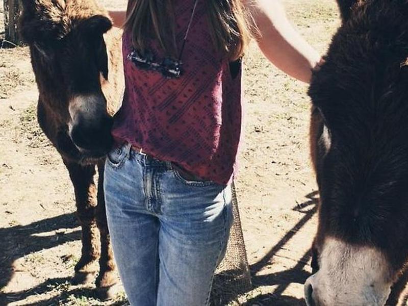 8FADAD85D09734CD3B58C49D62165A7C